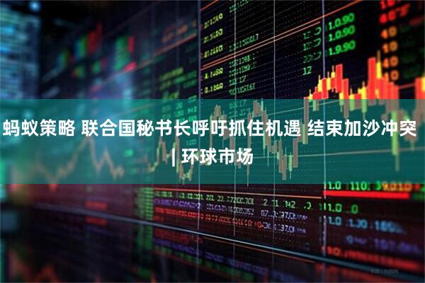 蚂蚁策略 联合国秘书长呼吁抓住机遇 结束加沙冲突 | 环球市场