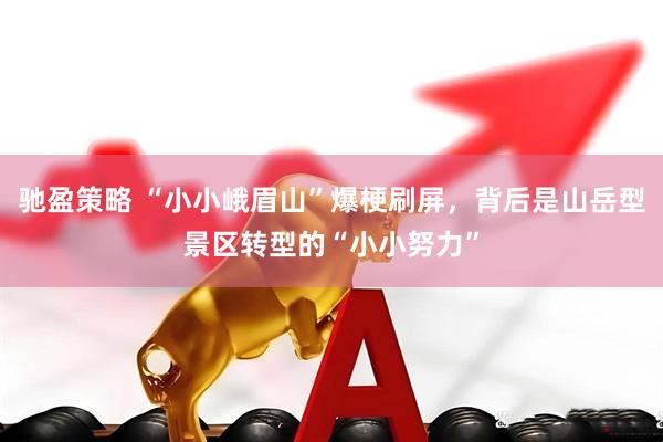 驰盈策略 “小小峨眉山”爆梗刷屏，背后是山岳型景区转型的“小小努力”