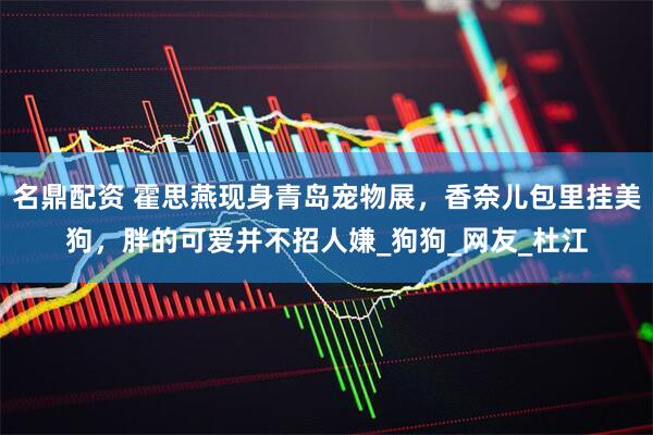 名鼎配资 霍思燕现身青岛宠物展，香奈儿包里挂美狗，胖的可爱并不招人嫌_狗狗_网友_杜江